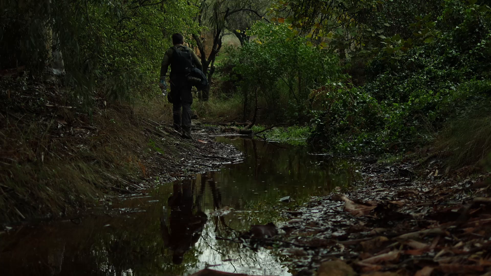 Original Forest 01 frame at 01:11, before the Higgsfield edit.